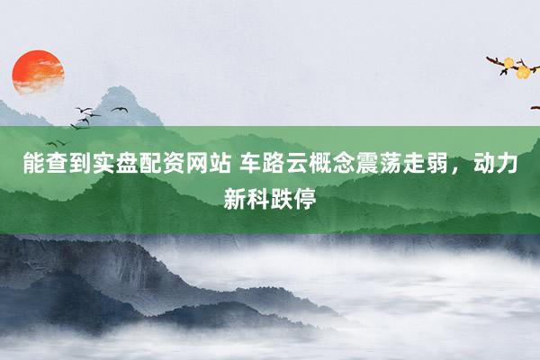 能查到实盘配资网站 车路云概念震荡走弱，动力新科跌停