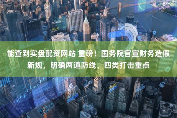 能查到实盘配资网站 重磅！国务院官宣财务造假新规，明确两道防线、四类打击重点