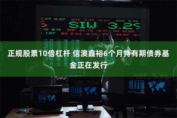 正规股票10倍杠杆 信澳鑫裕6个月持有期债券基金正在发行