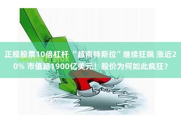 正规股票10倍杠杆 “越南特斯拉”继续狂飙 涨近20% 市值超1900亿美元！股价为何如此疯狂？