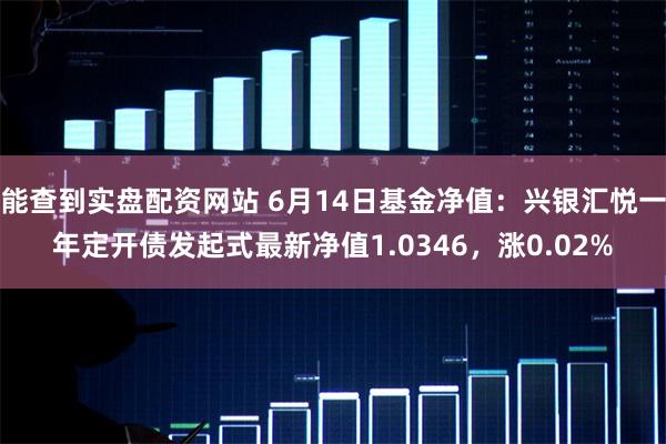 能查到实盘配资网站 6月14日基金净值：兴银汇悦一年定开债发起式最新净值1.0346，涨0.02%