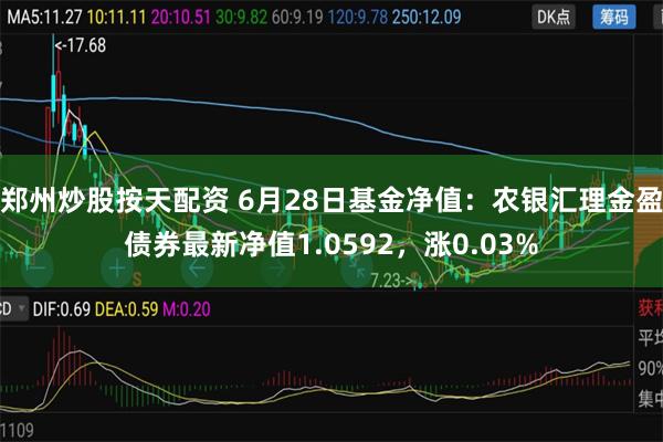 郑州炒股按天配资 6月28日基金净值：农银汇理金盈债券最新净值1.0592，涨0.03%